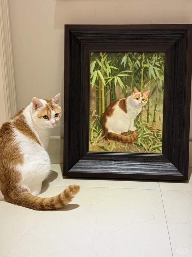 A Lumina pet portrait photographed in its new home, collector image 05
