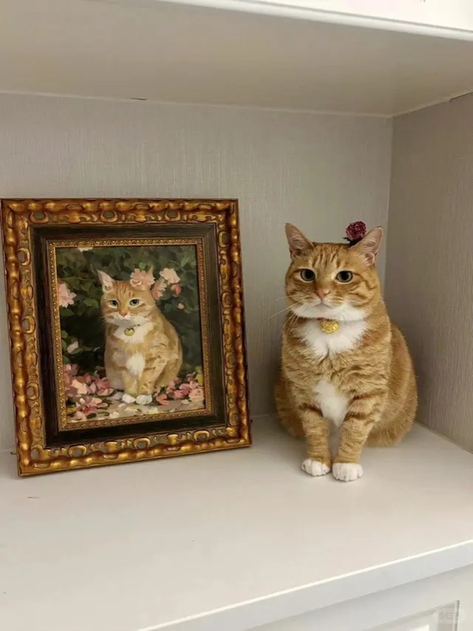 A Lumina pet portrait photographed in its new home, collector image 08
