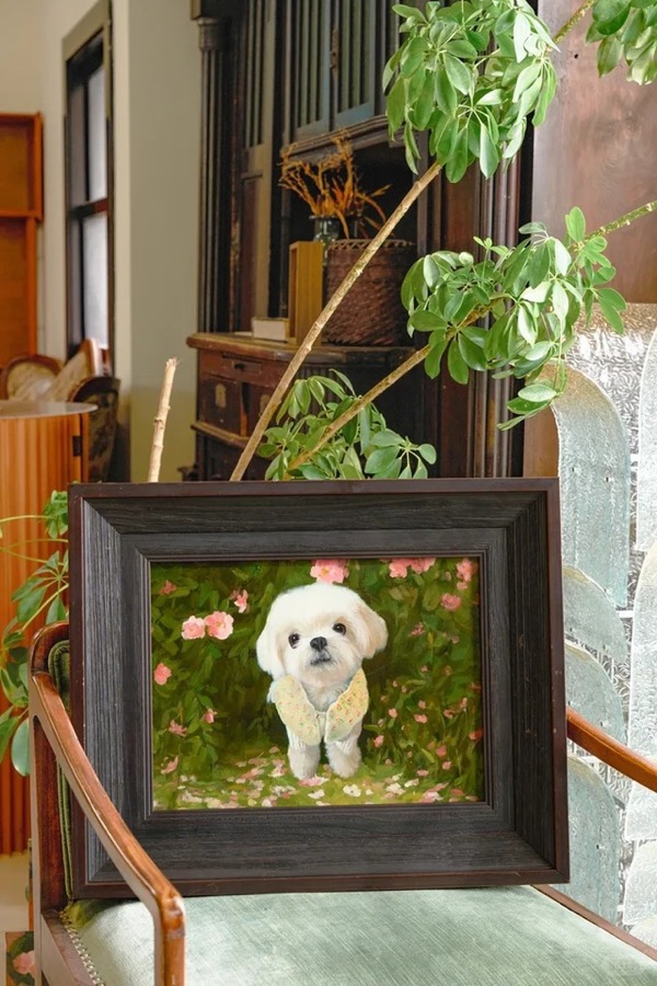 A Lumina pet portrait photographed in its new home, collector image 18