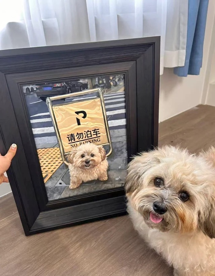 A Lumina pet portrait photographed in its new home, collector image 20